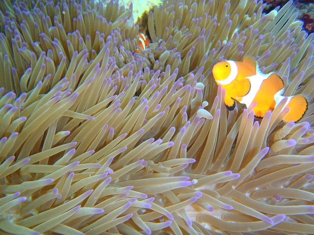 NOBUガイドワークスの写真1