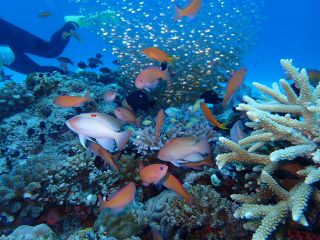 マリンショップ　ハートランドの写真1