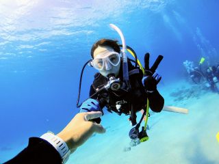 沖縄ダイビングサービスDearBlueの写真1