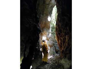 八重瀬自然遊学センターの写真1