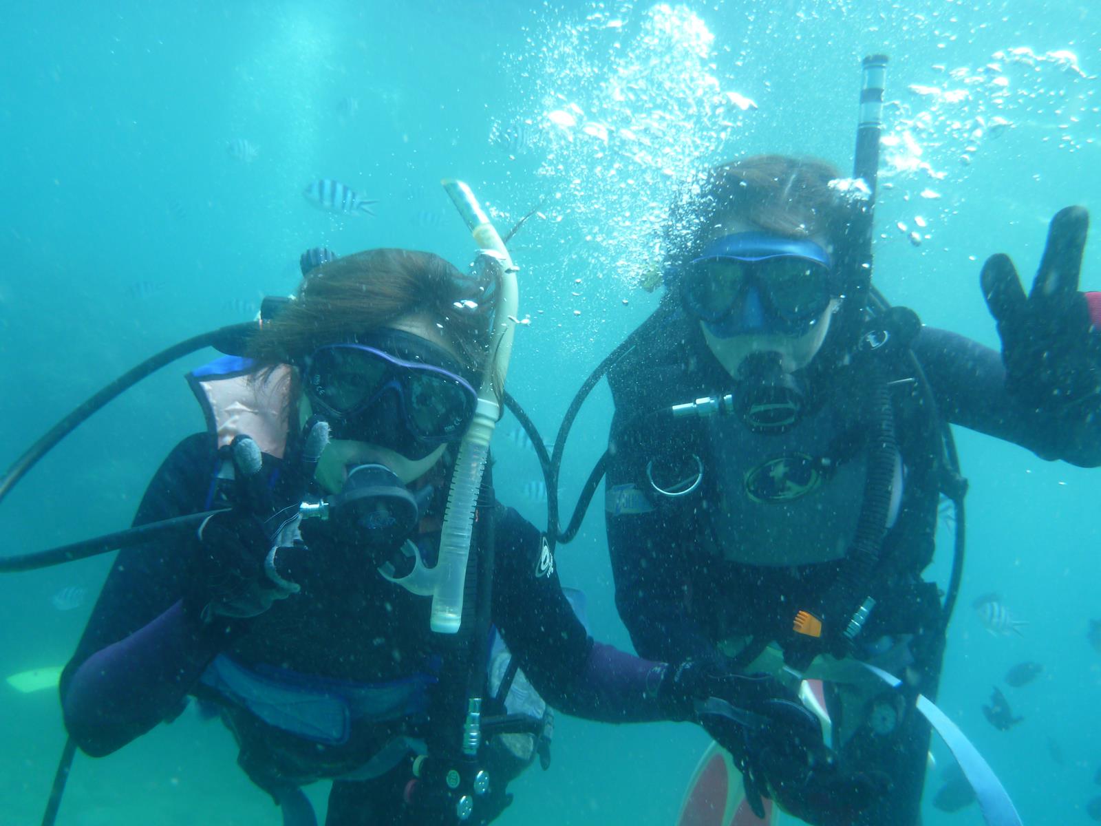 ダビングショップキラーホエールの写真1