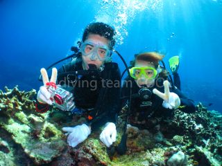 ダイビングチーム　クールの写真1