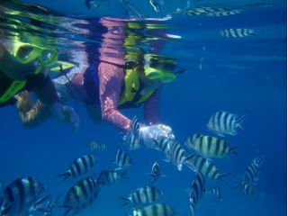 ヒートウェーブの写真1