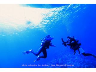 OceanStudioの写真1