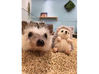 ちくちくカフェnahaの写真1