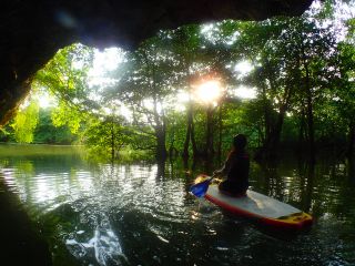 レインボーリーフの写真1