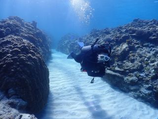 ロコマリンサービスの写真1