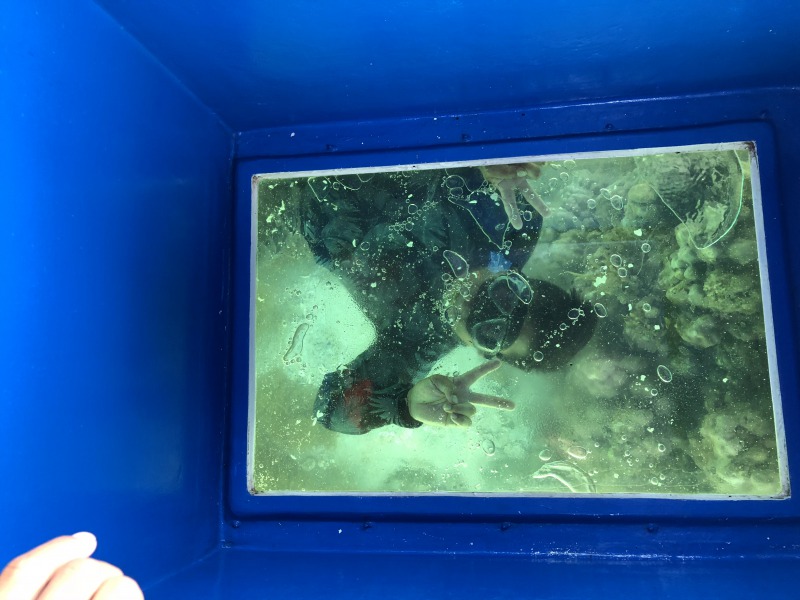 Mマリンスポーツ企画の写真1