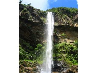 西表島タイドラインの写真1