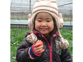 南阿蘇ふれあい農園の写真1