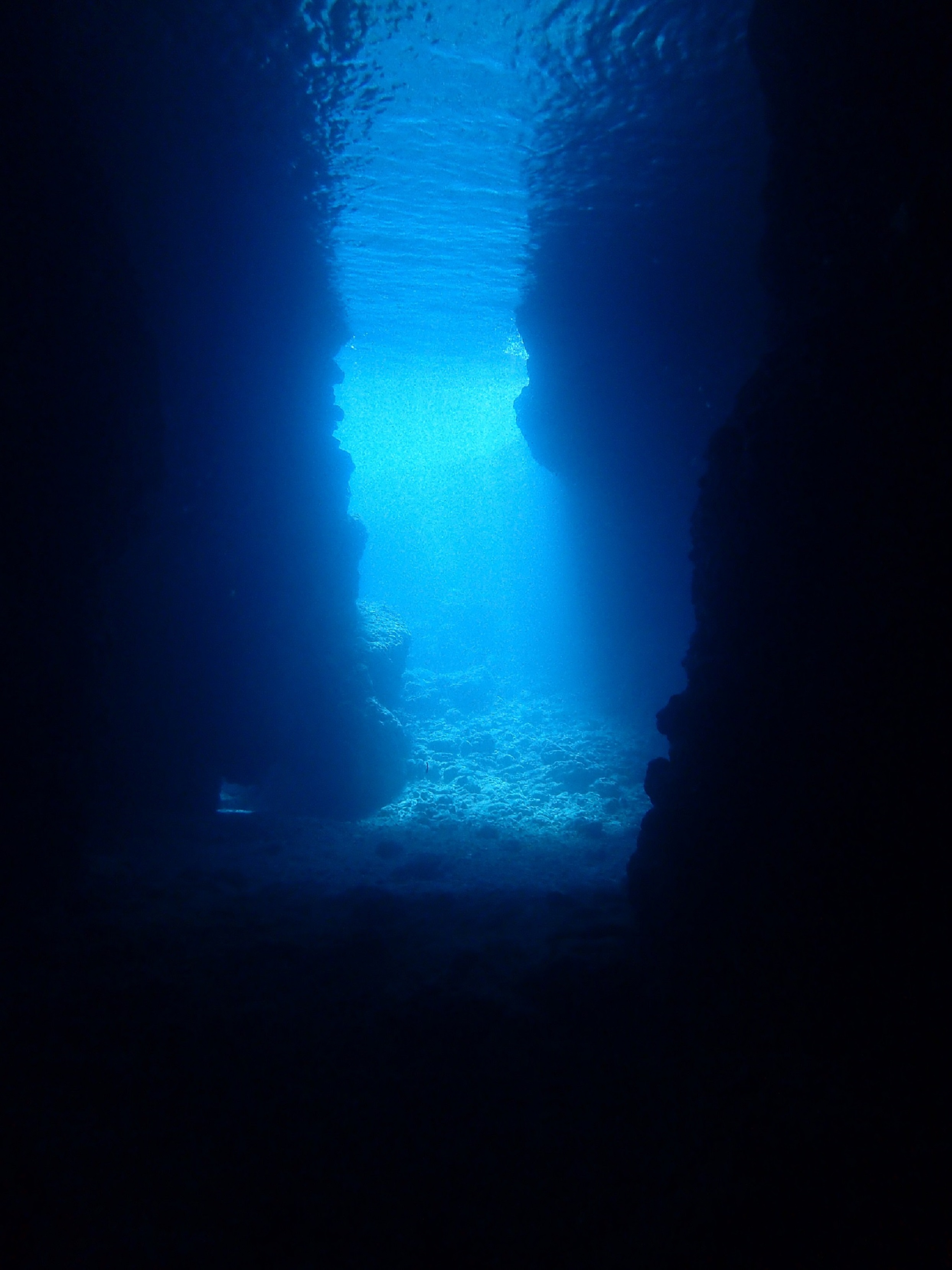 Little　Cape　Diving　Serviceの写真1