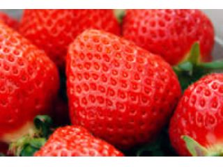 kiki’s苺ハウスの写真1