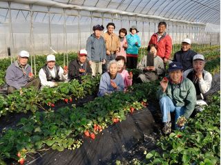 農業法人 今田平の写真1