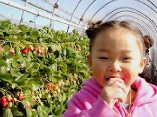 原文農園の写真1