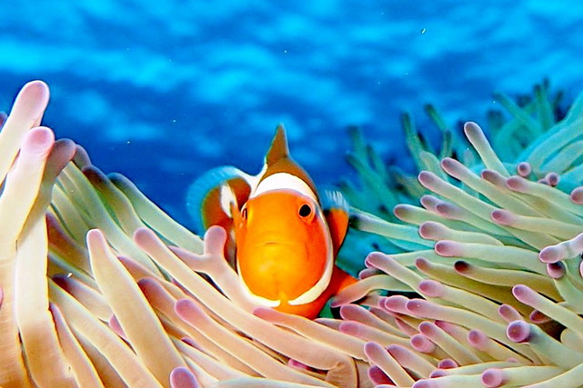 マリンハウスJAMの写真1