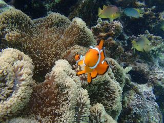 ブルーラグーン石垣島の写真1