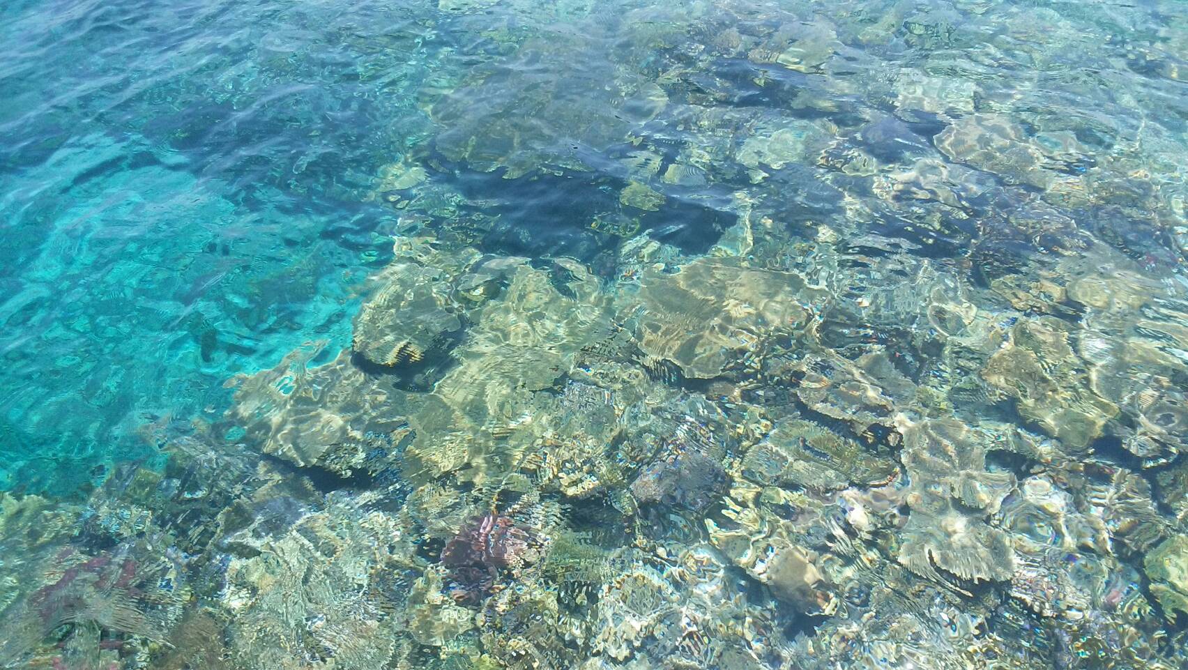 アイランドパワーの写真1