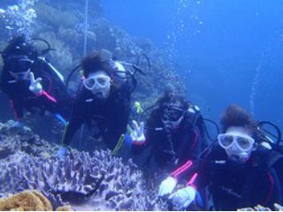 ダイビングショップBLUEZONEの写真1