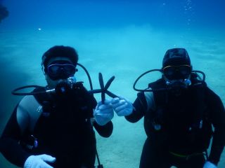 ギルドアワード　マリンサービスの写真1