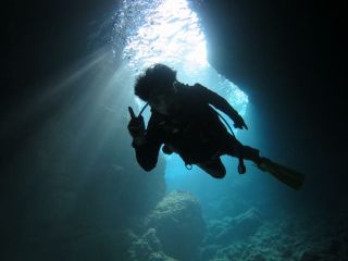 イージーダイバーの写真1