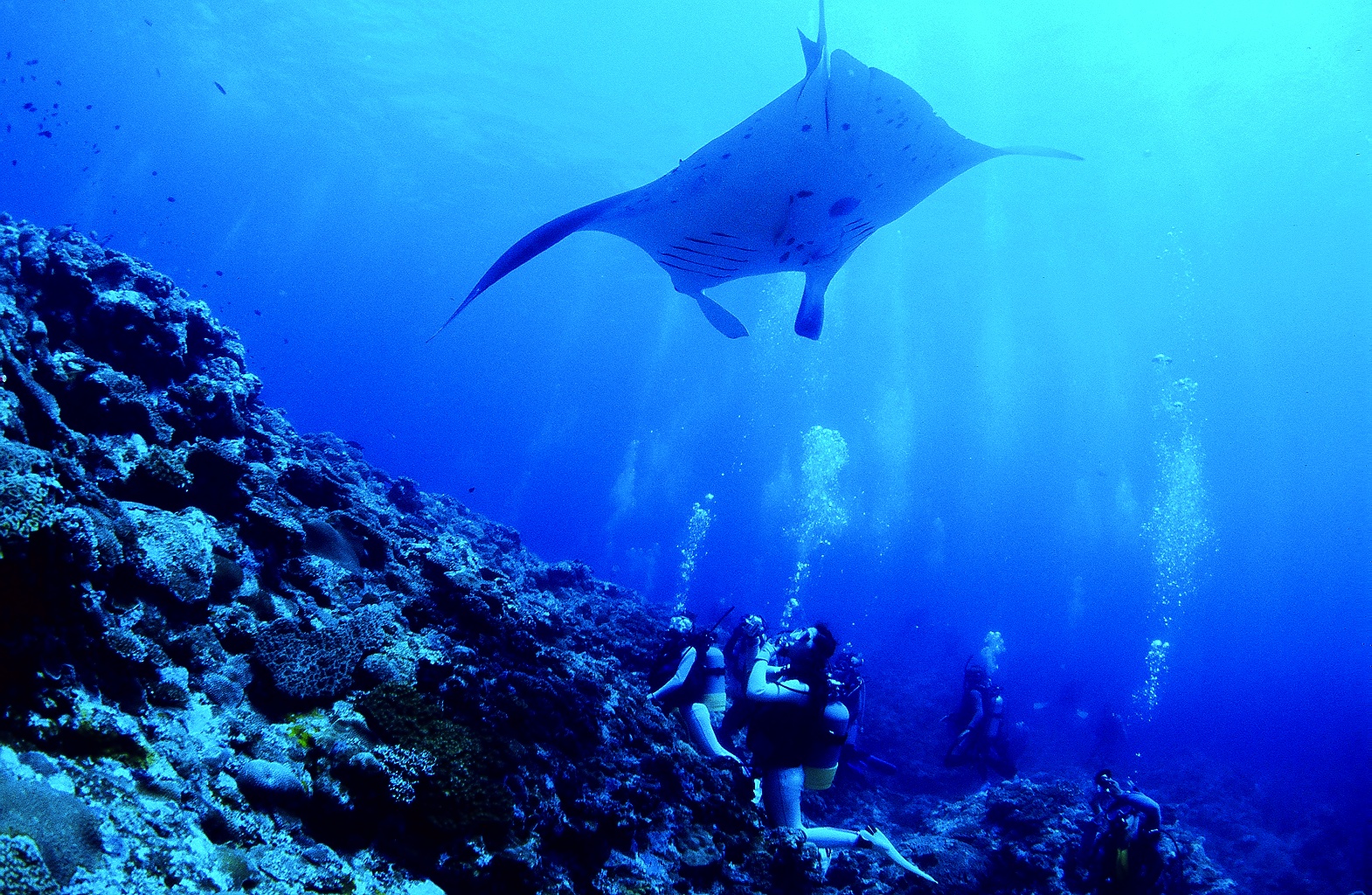 ダイブハウスマンタ石垣島の写真1