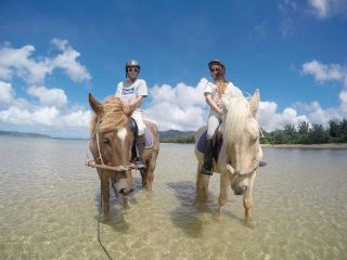 ホースライディングスポット　波ん馬の写真1