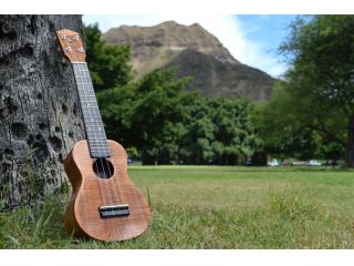 マナブ倶楽部の写真1