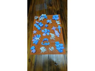 今帰仁ハーブ園の写真1