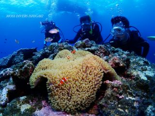 ダイビングセンター　MOSSDIVERSの写真1