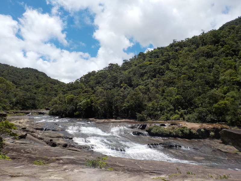 くまのみ自然学校の写真1