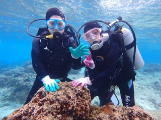 リキッドブルーの写真1