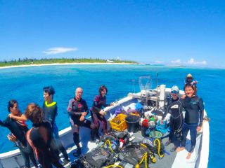 フィールダイブの写真1