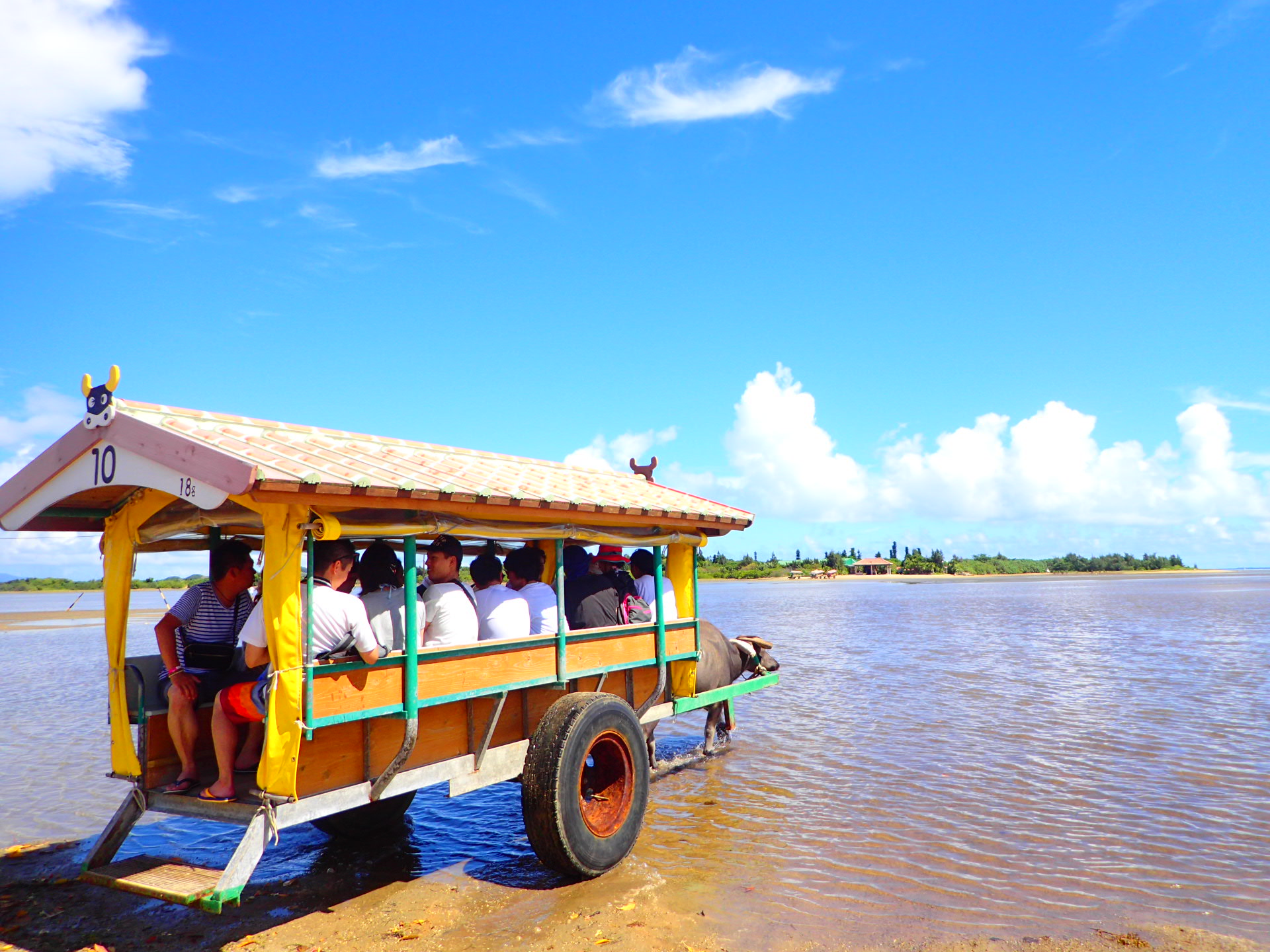 西表島コロンブスの写真1