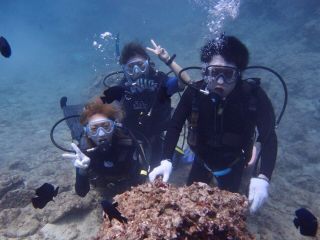 ダイビングハウスYAN☆YANの写真1