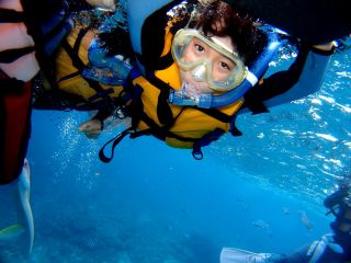 マリンクルーアゲインの写真1