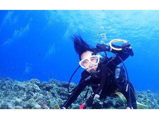 沖縄ダイビングスクール　パルウェーブの写真1