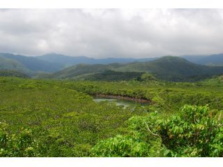 バジャウトリップ西表フィールドサービスの写真1