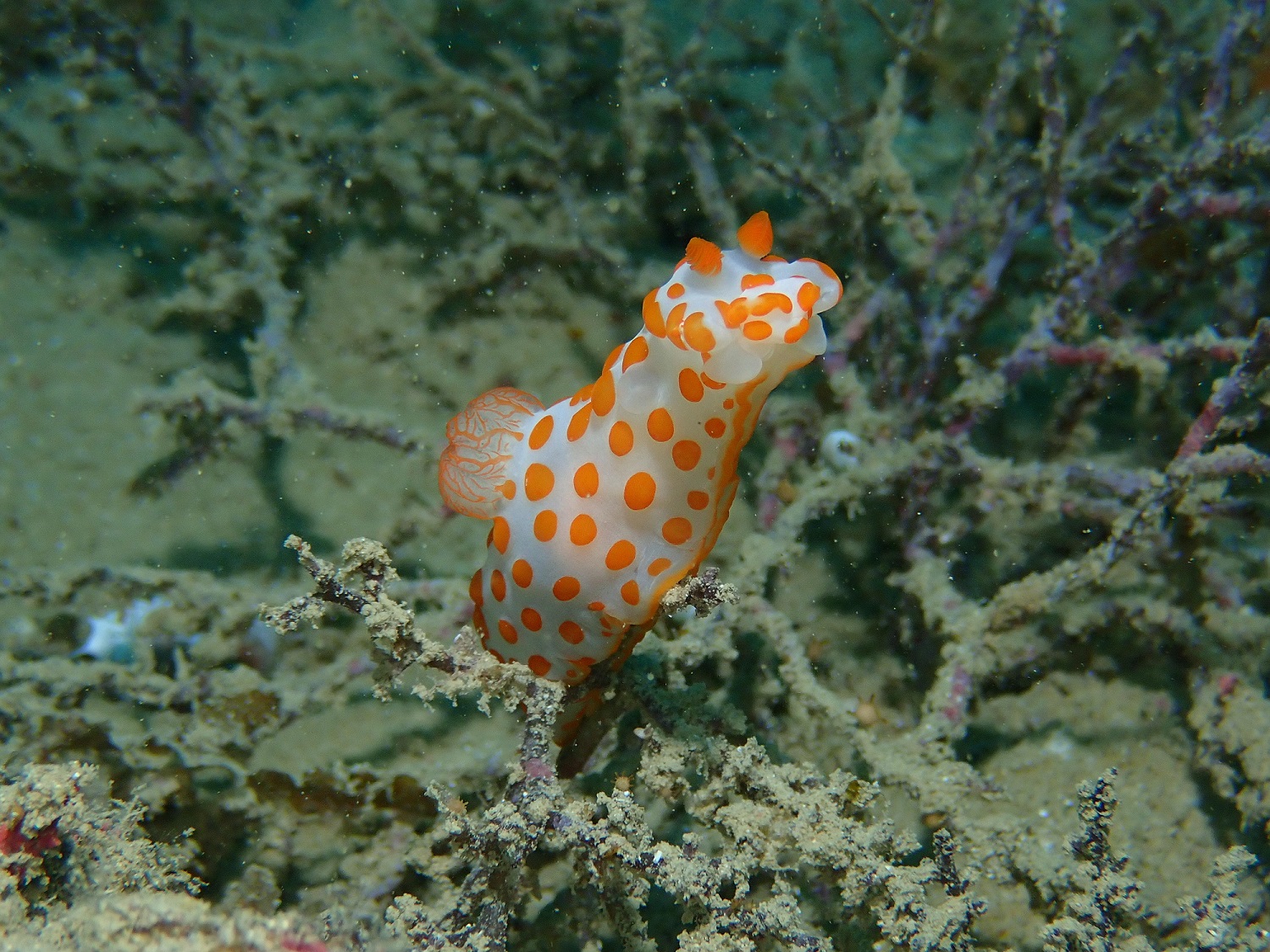 マリンスペースの写真1