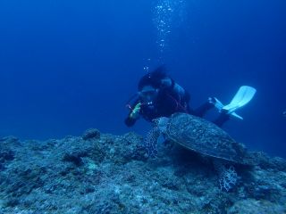 マナ　ファクトリーの写真1