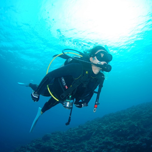 ダイビングショップ　プラスアルファの写真1