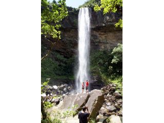 西表島カヌーツアー案内三拝云の写真1