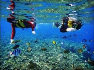 オーシャンゲートの写真1