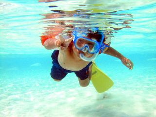 SEA-TRIP D.S 太造之店の写真1