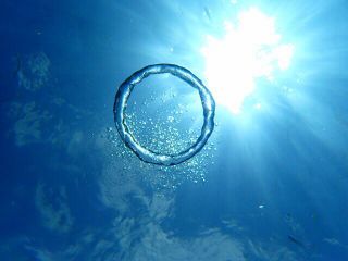 よんな〜海の写真1