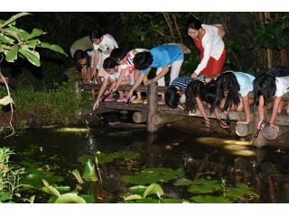 NPO久米島ホタルの会の写真1