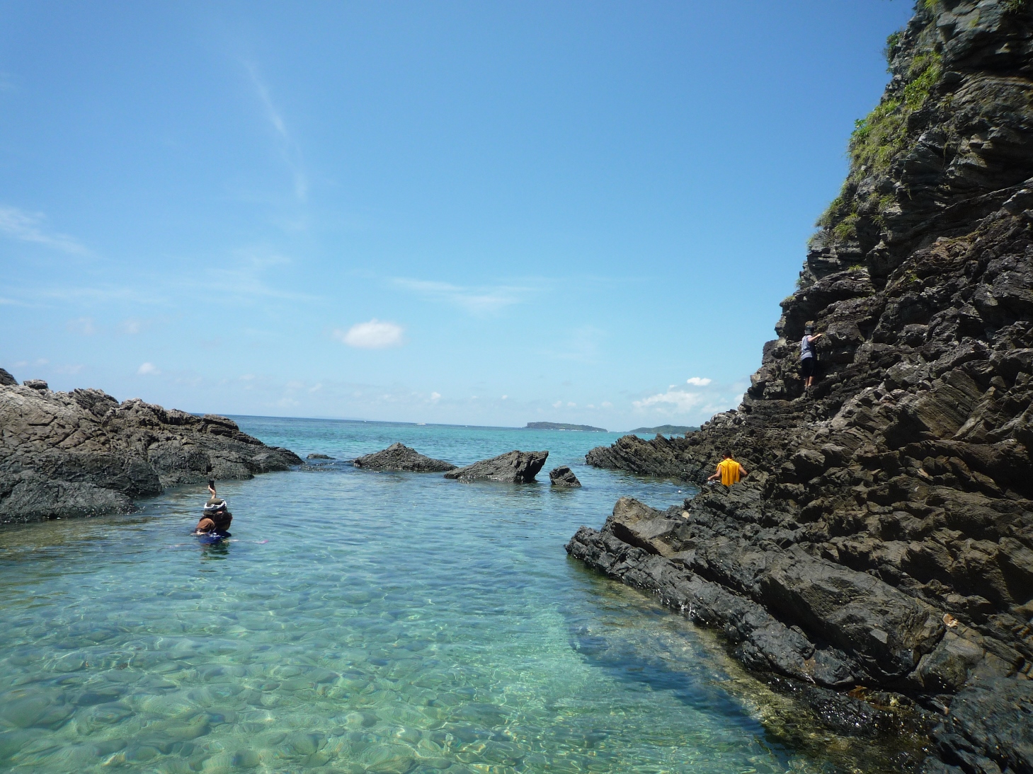 エコネット・美の写真1