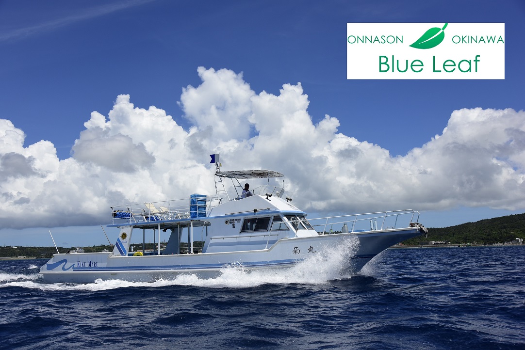 ブルーリーフの写真1