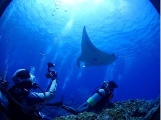 石垣島ダイビングサービスシーメリリーの写真1