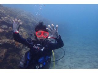 海風だいばーずの写真1