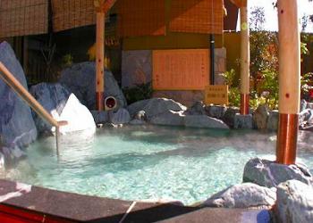 極楽湯(豊橋店)の写真1